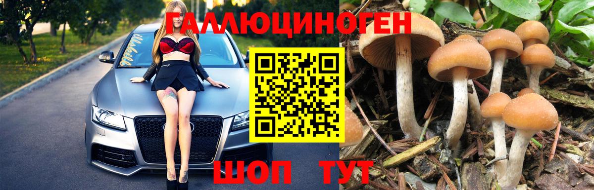 Дзержинский  Псилоцибиновые грибы мухоморы  даркнет сайт  Галлюциногенные грибы Magic Shrooms  Вход с VPN 